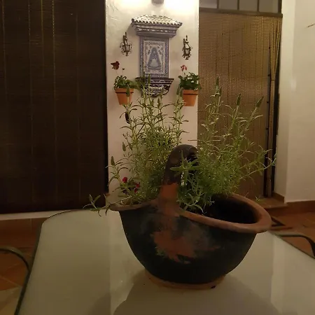 Casa Tres Aires Homestay *